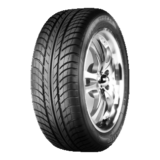 [GY106202] 205/40R17 80W BLUE STREAK ST